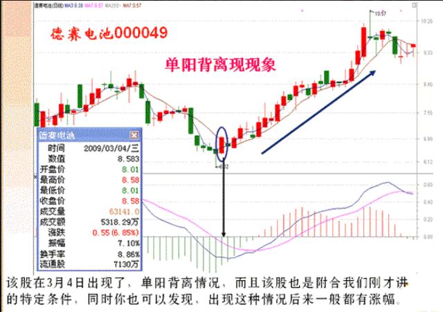 2024精准管家婆一肖一马,揭秘精准管家婆，一肖一马的神秘预测之旅