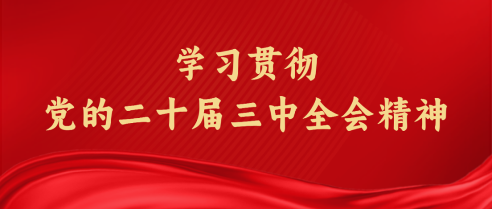 2024年新澳门天天开彩,新澳门天天开彩，探索未来彩票的新篇章（2024年展望）