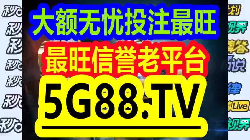 管家婆一码中一肖2024,管家婆的神秘预测，一码中定一肖的奇幻之旅 2024年展望