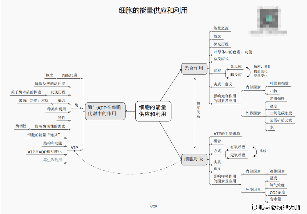 白小姐三肖三期必出一期开奖,关于白小姐三肖三期必出一期开奖的真相探讨